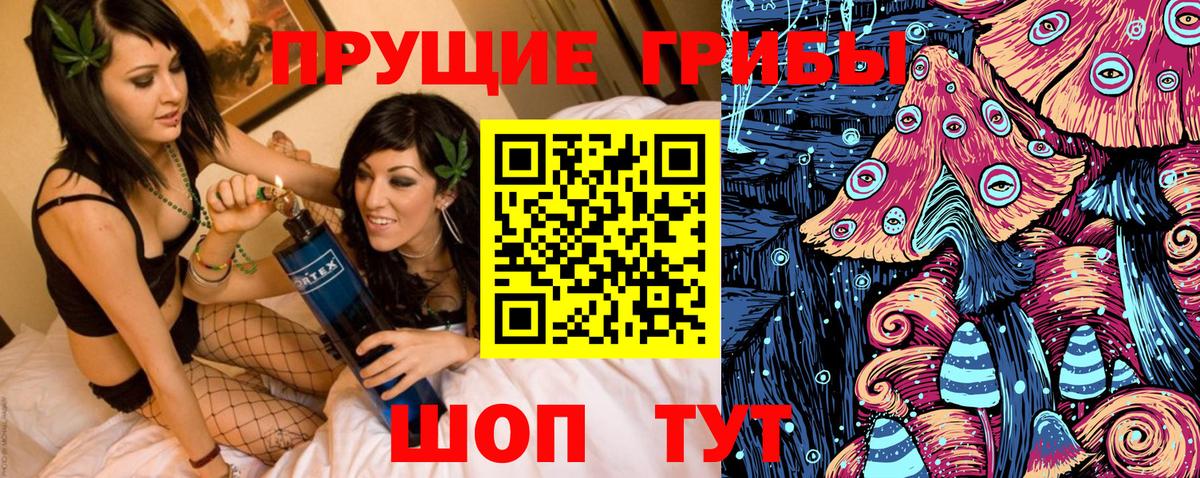 Псилоцибиновые грибы ЛСД Гатчина